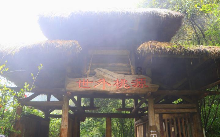 万词王